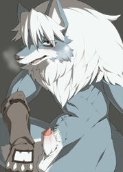 animal_genitalia anthro blue_fur breath canine canine_penis censored erection fur furry gloves hair legendz long_hair looking_at_viewer male male_only mammal muscles nenemaru open_mouth penis plain_background solo white_hair wolf wolfy_the_werewolf