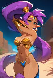 Shantae (Character) Rule 34 Image