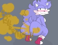 1girls :3 anthro ass ass_focus big_ass big_butt blush brappycatty bubble_ass bubble_butt butt_focus fart fart_cloud fart_fetish farting farting_at_viewer farts furry hedgehog huge_ass huge_butt looking_at_viewer looking_back solo sonic.exe sonic.exe_(series) squatting sunniefunnie wacky_the_erizo