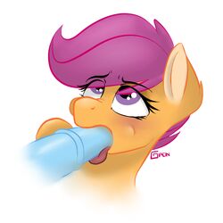 2014 animal_genitalia blush disembodied_penis equine female feral friendship_is_magic fur gigapon hair horse horsecock male mammal my_little_pony oral oral_sex orange_fur penis plain_background pony purple_eyes purple_hair scootaloo_(mlp) sex straight tongue white_background