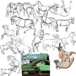 canine equine erection feral gdane horse male male_only mammal partially_colored penis sketch stallion