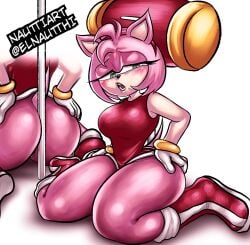 amy_rose big_ass furry nauttiart sonic_(series) sonic_the_hedgehog_(series)