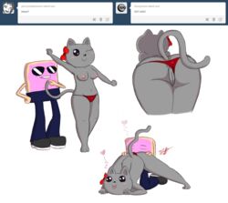 anthro anus ass biting_lip blush bow english_text eyewear feline female furry heart mammal meme nyan_cat nyan_cat:_lost_in_space panties plain_background pop-tarts pussy sunglasses text timoteihiv toaster_pastry tumblr underwear white_background