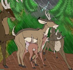 2013 anal anal_fisting anal_sex antlers anus backlash91 bambi_(character) bambi_(film) cervine crying cum cum_in_ass cum_inside deer disney erection female feral feral_on_feral fisting furry furry_only gay horn kissing male penetration penis pussy rape sex