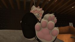 feet_focus feet_together foot_fetish furry mrhighvoice pawpads soft_paws toe_claws