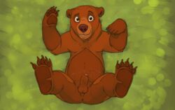 animal_genitalia anus ass balls bear brother_bear brown_eyes brown_fur brown_penis claws cobalthusky cum digitigrade disney fur grizzly_bear humanoid_penis kenai lying male male_only mammal on_back open_mouth penis precum sheath solo uncut