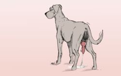 animal_genitalia anus balls canine canine_penis cum cumshot feral great_dane male male_only mammal masturbation orgasm penis plain_background smile solo white_background wuf