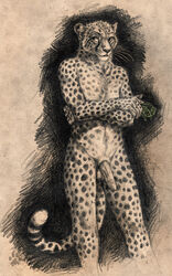 anthro balls barbs blotch cheetah crossed_arms feline feline_penis furry furry_only male male_only mammal money monochrome penis pose solo