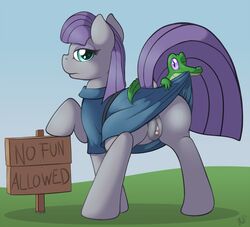 2014 alligator ass clothing equine female friendship_is_magic furry gummy_(mlp) hair horse looking_at_viewer male mammal maud_pie_(mlp) my_little_pony one_eye_closed outside pony purple_hair pussy ratofdrawn reptile shadowstraight sign standing