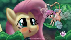 breezie (mlp) from friendship is magic by onetrickpony