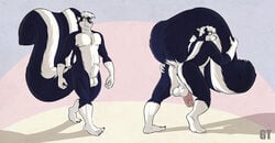 anus balls biceps big_tail black_fur fur grin gtskunkrat looking_at_viewer male male_only muscles pecs penis pink_nose pose presenting sheath skunk solo toned white_fur