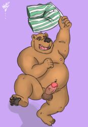 anthro balls bear big_penis boxers_(clothing) clothing cosmic51moon dancing erection fur humanoid male male_only mammal musclechub musclegut pawpads paws penis slightly_chubby smile solo thick_penis underwear