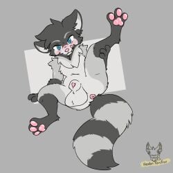 1:1 absurd_res animal_genitalia anthro anus balls big_balls blue_eyes canid canine fur genitals grey_body grey_fur hayden_fencfoxo hi_res hybrid kalen_(xenoyia) lying male mammal on_back pawpads paws pink_nose pink_pawpads procyonid raccoon raccoon_dog sheath solo tanuki