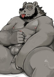 anal anal_fingering anthro balls bear chest_tuft closed_eyes erection eyewear facial_hair fingering fur glasses kumagaya_shin male male_only masturbation nipples penis plain_background precum solo spread_legs spreading tongue tongue_out tuft