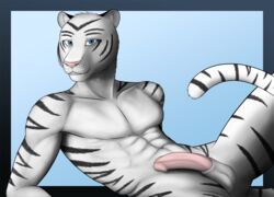 2013 abs anthro aolun aolun_(artist) balls feline fur furry looking_at_viewer male male_only mammal nude penis solo tiger white_tiger