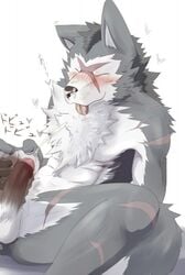 anthro blush canine chest_tuft closed_eyes cum erection fur furry grey_fur japanese_text male male_only mammal masturbation nude penis rouen samu scar sega shining_(series) shining_force shining_wind solo text tuft white_fur wolf