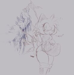 amy_rose ass claws female furry male notchine panties sega sonic_(series) sonic_the_hedgehog_(series) sonic_the_werehog torn_clothes