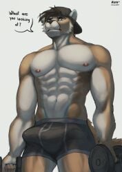 abs absurd_res anthro axel_braus back biceps bottomwear boxer_briefs boxers_(clothing) bulge cheetah clothed clothing cougar digital_media_(artwork) dumbbell erection exercise felid feline fur hat headgear headwear hi_res looking_at_viewer male mammal muscular muscular_anthro muscular_male nipples pecs rofu_kagazaki shaded simple_background solo topless underwear weightlifting weights workout