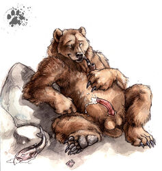 Anthro Rule 34 Image