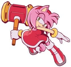 amy rose from sonic (series)