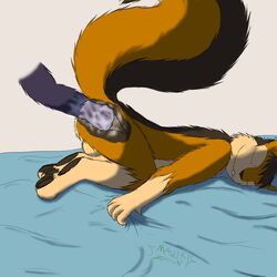 Anal Rule 34 Image