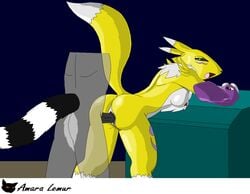 amara amara_lemur bent_over digimon female grope lap_dance lemur male mammal penetration primate raised_tail renamon ringtailed_lemur straight vaginal_penetration