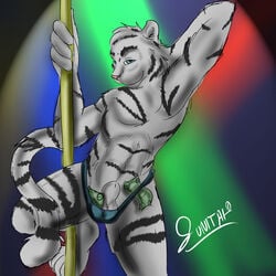 2010 anthro balls feline fur furry male male_only mammal money pole sheath stripper stripper_pole sunitai thong tiger vitaislade white_tiger