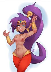 shantae (character) from shantae by nerdbayne
