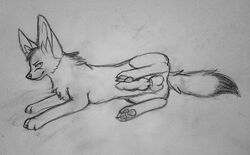 animal_genitalia canine canine_penis claws digitigrade erection fennec feral ffefox fox fur furry_ears furry_tail graphite_(medium) looking_at_viewer male_only mammal monochrome nude pawpads penis plain_background pointy_ears presenting raised_leg side_view sketch snowyzi solo tail testicles traditional_media tuft