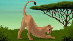 anatomically_correct anatomically_correct_pussy anus blue_eyes disney feline female female_feral feral kisu lion lioness mammal nala nude outside presenting pussy raised_tail spreading the_lion_king