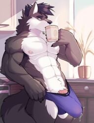 anthro beverage bodily_fluids briefs bulge canid canine canis clothing coffee coffee_cup container cup digital_media_(artwork) erection fur genital_fluids genitals hair hi_res jayce kitchen male mammal morning morning_wood muscular muscular_anthro muscular_male nipples nude pecs penis precum solo tail underwear vitaly4321 wolf