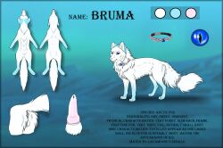 animal_genitalia animal_penis anthro anus arctic_fox balls blue_eyes bruma_(ninafoxxo) canid canine canine_genitalia canine_penis collar fox genitals hi_res male mammal model_sheet penis poliarnaya solo text true_fox white_body