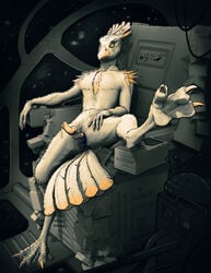 anatomically_correct anatomically_correct_penis anus avian captain erection feathers goose looking_at_viewer male male_only penis precum salireths sitting solo spacecraft spreading yellow_eyes