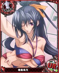 akeno himejima from high school dxd by animius
