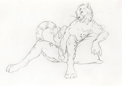 anthro balls cheetah erection feline fur furry licking looking_at_viewer lying male male_only mammal monochrome nduli on_back pencils penis pillow smirk solo tongue