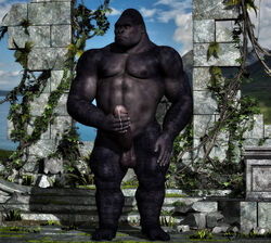 2014 3d abs amber_eyes anthro ape balls biceps big_muscles big_penis black_howler erection gorilla male male_only masturbation muscles nude pecs penis precum primate ruins sky solo standing