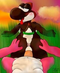 anus female male mario_(series) nintendo puffdraws rayoshi softestpuffss straight treecko-shell yoshi