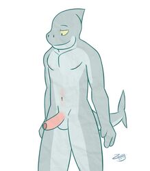 2014 3_fingers animated anthro balls fish flaccid grey_skin humanoid_penis looking_at_penis looking_down male male_only marine nipples nude pecs penis pink_penis plain_background shark solo standing white_background zawmg