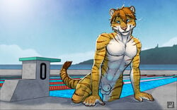 2014 allegro_(liglig) anthro balls blue_eyes feline fur furry hybrid liger liglig looking_at_viewer male male_only mammal muscles nude pool sheath solo tiger tsaiwolf wet