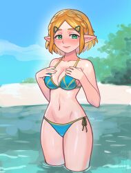 princess zelda from nintendo by watcher hollow