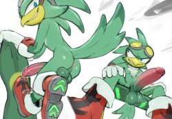 jet the hawk from sega by meatshaq