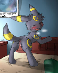 2014 anus ass balls bed blush eeveelution female feral fur furry_ears furry_tail kigisuke nintendo one_eye_closed open_mouth pokemon presenting pussy saliva solo tail tears teeth tongue tongue_out umbreon video_games