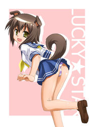 animal_ear animal_tail ass brown_hair cute_fang dog_ear dog_tail female female_only kusakabe_misao lucky_star misao_kusakabe panties school_uniform seifuku serafuku short_hair solo striped striped_panties tail umekichi underwear yellow_eyes