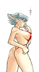 breath_of_fire breath_of_fire:_dragon_quarter glasses large_breasts swimsuit tagme translation_request xeno