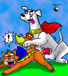 2boys anal anal_sex canine cape dc_comics feline gay interspecies krypto krypto_the_superdog male male_only orange_fur outdoors size_difference streaky_the_supercat super-pets tagme tbfm white_fur yaoi