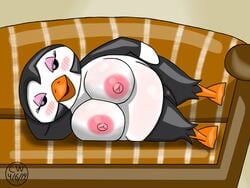 2014 animal_crossing beak blush chubby crockwad eyeshadow gwen_(animal_crossing) huge_breasts huge_nipples lying_on_side nintendo penguin pussy sofa webbed_feet