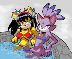 2024 2girls arborialrodent bikini blaze_the_cat breasts brown_eyes cat_ears cat_tail feline female furry gem_on_forehead gray_background grey_background honey_the_cat hot_tub partially_submerged pool purple_fur sega sitting sonic_(series) sonic_the_fighters steam tied_hair twintails water yellow_eyes yellow_fur