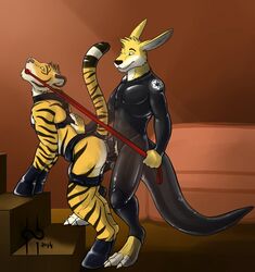 2014 anal balls feline furry furry_only gag gay harness hufnaar kangaroo male mammal marsupial no_humans ponyplay rubber solaxe steps tiger