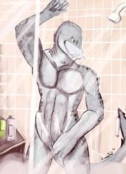 2014 abs anthro arm_above_head armpits asher_tail biceps diphallia diphallism erection fish green_eyes grey_body grey_penis grey_skin hemipenes looking_at_viewer male male_only marine multi_penis navel nude open_mouth pecs penis pose shark sharp_teeth shower slit_pupils smile solo standing tapering_penis teeth vein water wet whiskers