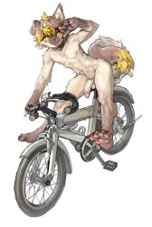 abs anthro athletic bicycle bodily_fluids canid canine canis domestic_dog foreskin genitals gesture hair half-erect hand_gesture happy humanoid_genitalia humanoid_penis jyhls kemono male mammal nude on_bike orange_eyes pawpads penis retracted_foreskin simple_background solo sweat three-quarter_view tongue tongue_out v_sign vehicle